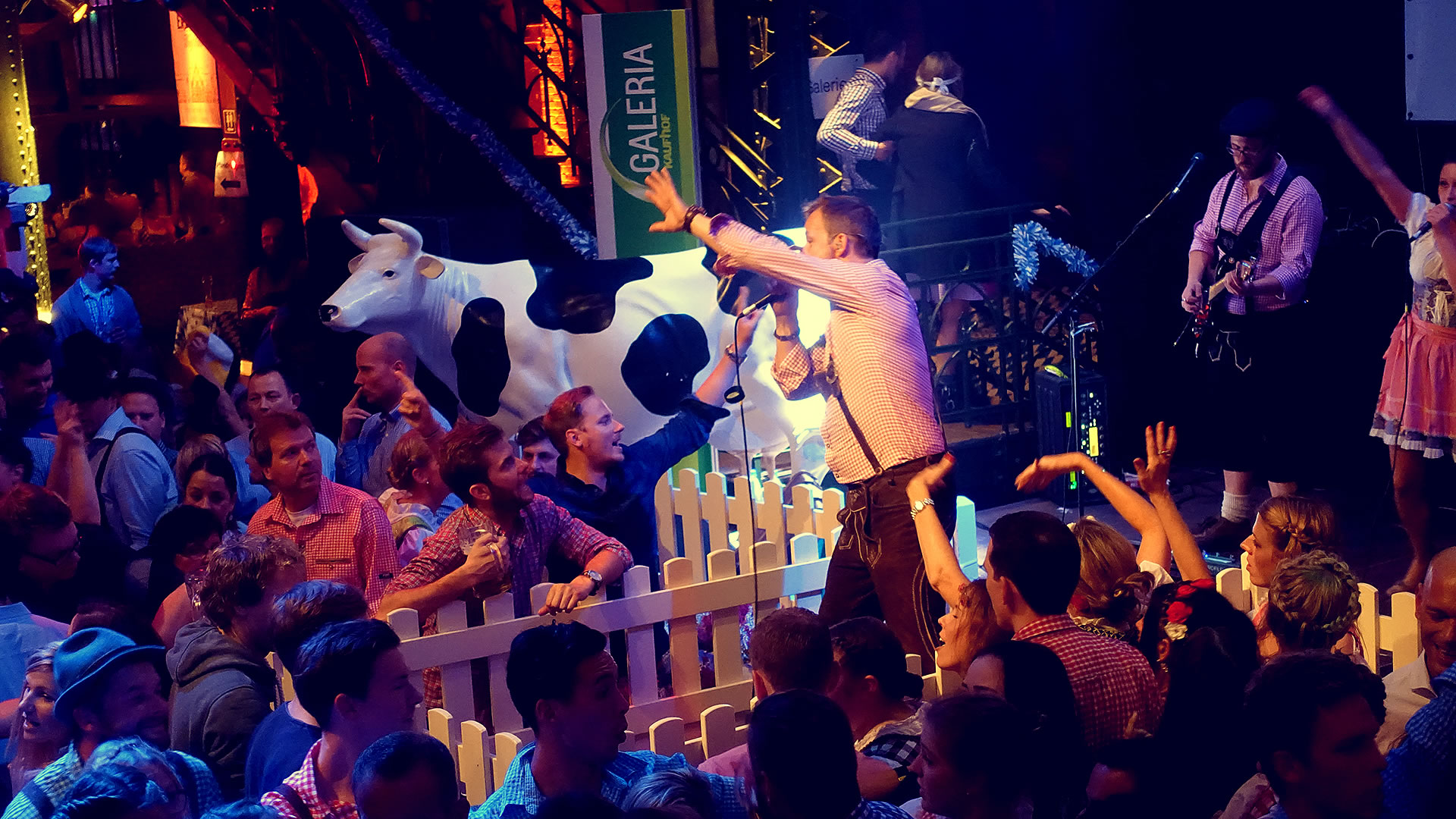 Oktoberfestband 8